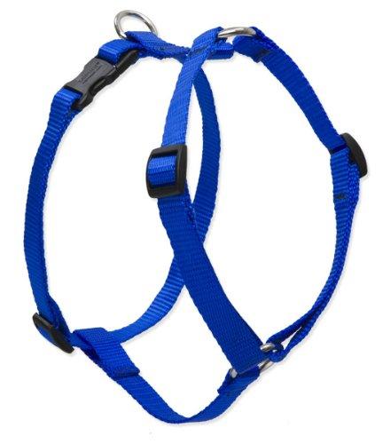 [Australia] - Lupine 1" Blue Roman Dog Harness 1"W; 24-38" Girth 