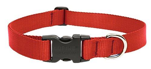 [Australia] - LupinePet 1 Inch Adjustable Dog Collar for Medium to Large Dogs Red 1"W; 12-20" Neck 