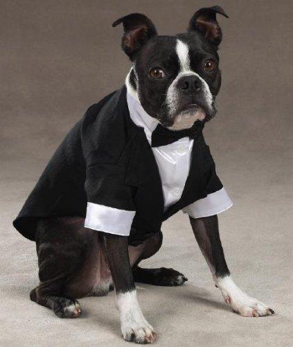 Esc Yappily Ever After Groom Tuxedo Xlarge - PawsPlanet Australia