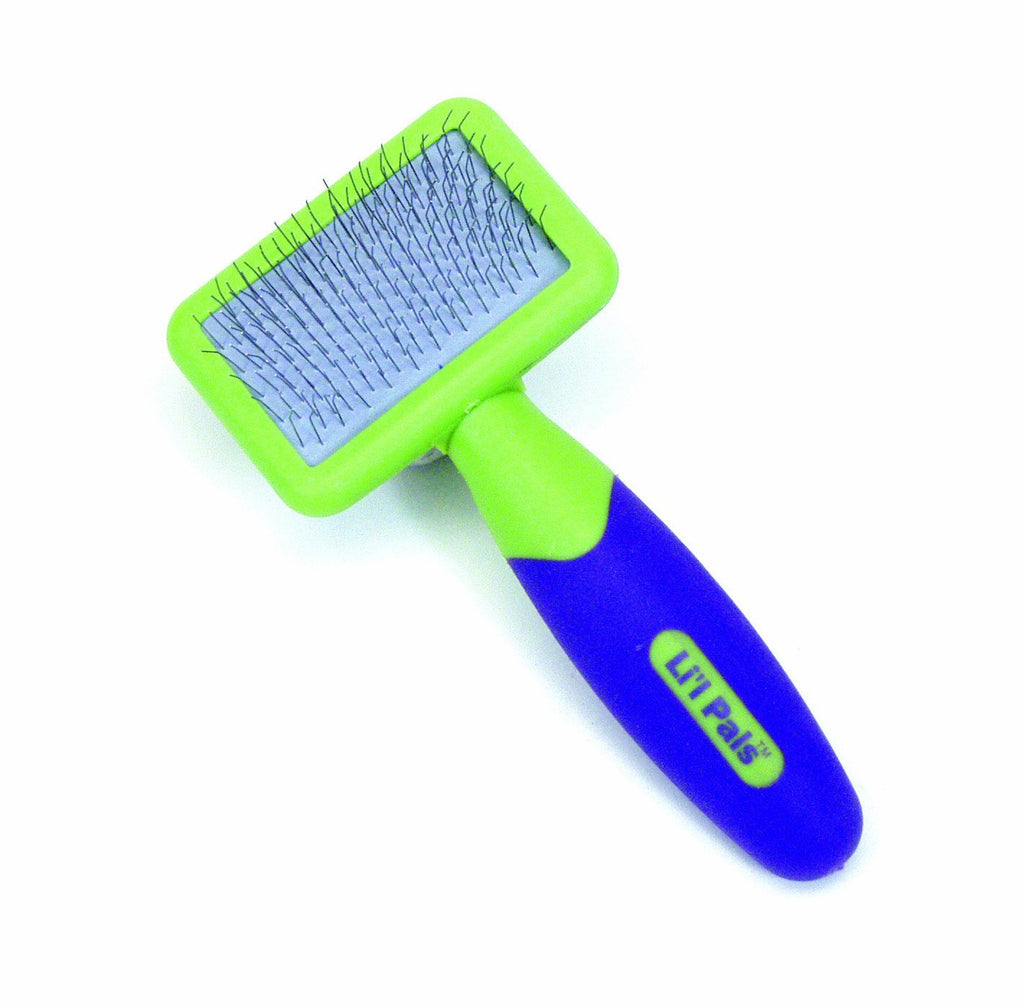 [Australia] - LI'L PALS Kitten Slicker Brush with Coated Tips, Cat Brush, Cat Brush for Shedding, Cat Hair Brush, Cat Grooming Brush, Cat Brush for Long Hair, Cat Brushes for Grooming, Pet Brush - W6204 