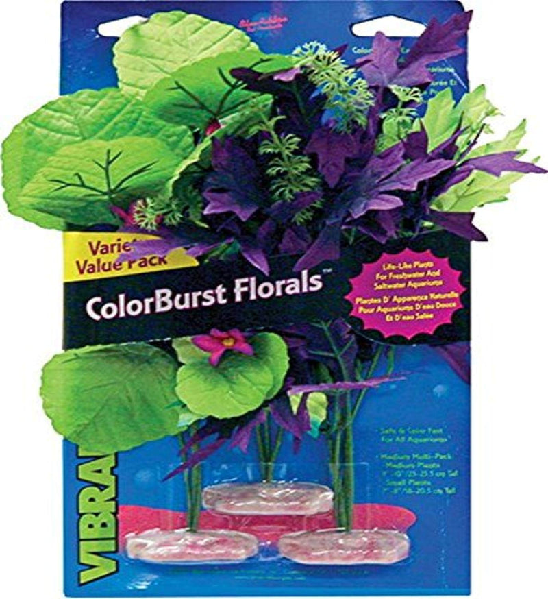 Blue Ribbon Vibran-Sea Flowering Cluster Assortment Amazon - PawsPlanet Australia