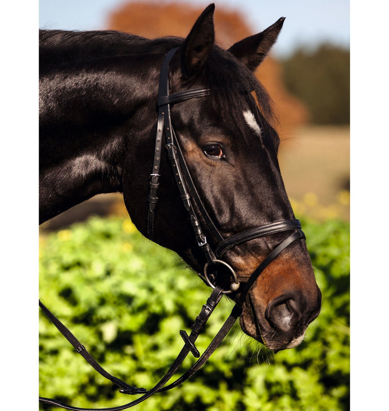 Kerbl 321744 Bridle Standard Leather for Warm-Blooded Horses Brown - PawsPlanet Australia