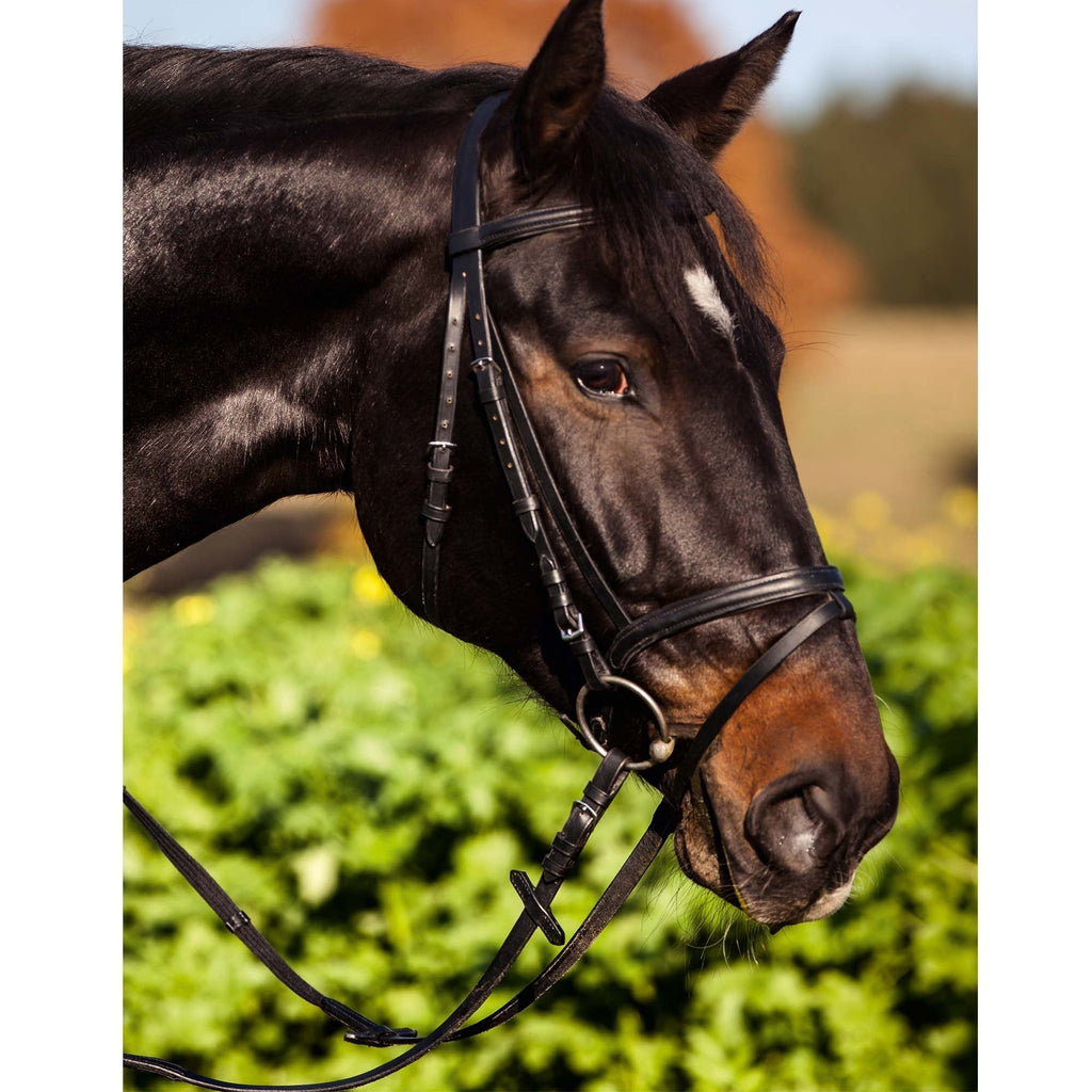 Kerbl 321742 Bridle Standard Leather for Shetty Brown - PawsPlanet Australia