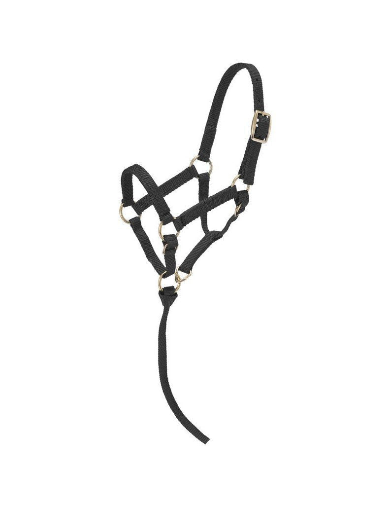 Tough 1 Miniature Nylon Halter Black Small Mini. - PawsPlanet Australia