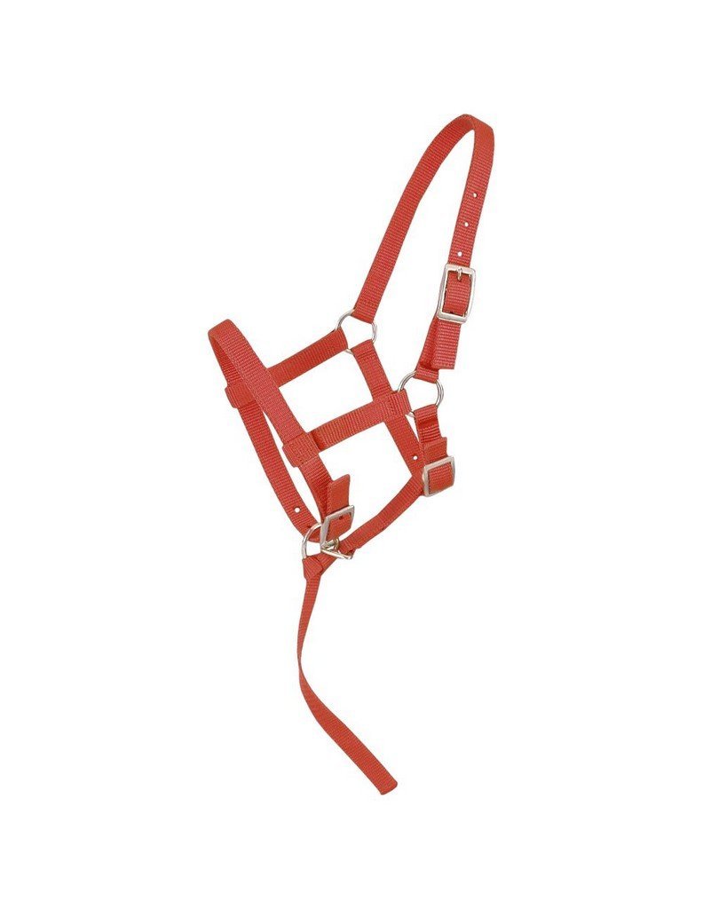 Tough 1 Adjustable Suckling Halter Red Horse Suckling - PawsPlanet Australia