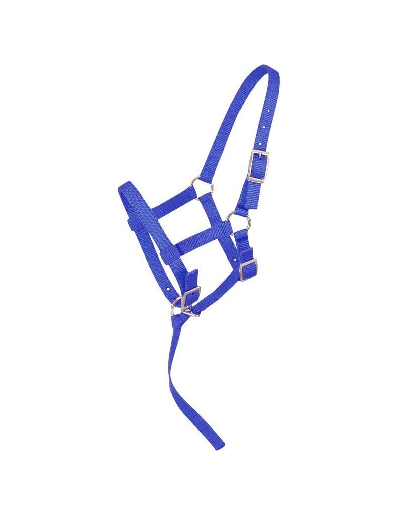 Tough 1 Nylon Foal Halter Royal Blue Suckling - PawsPlanet Australia