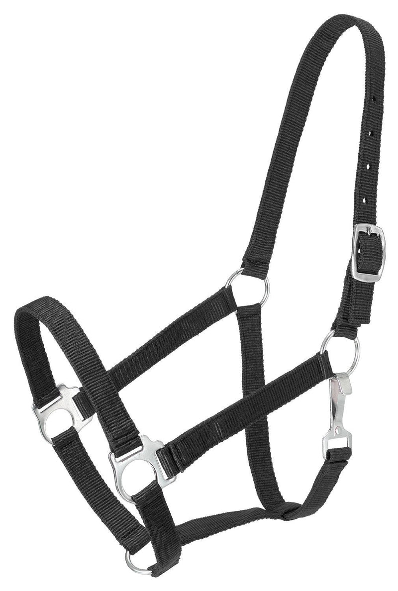 Tough 1 Economy Halter Black Horse - PawsPlanet Australia