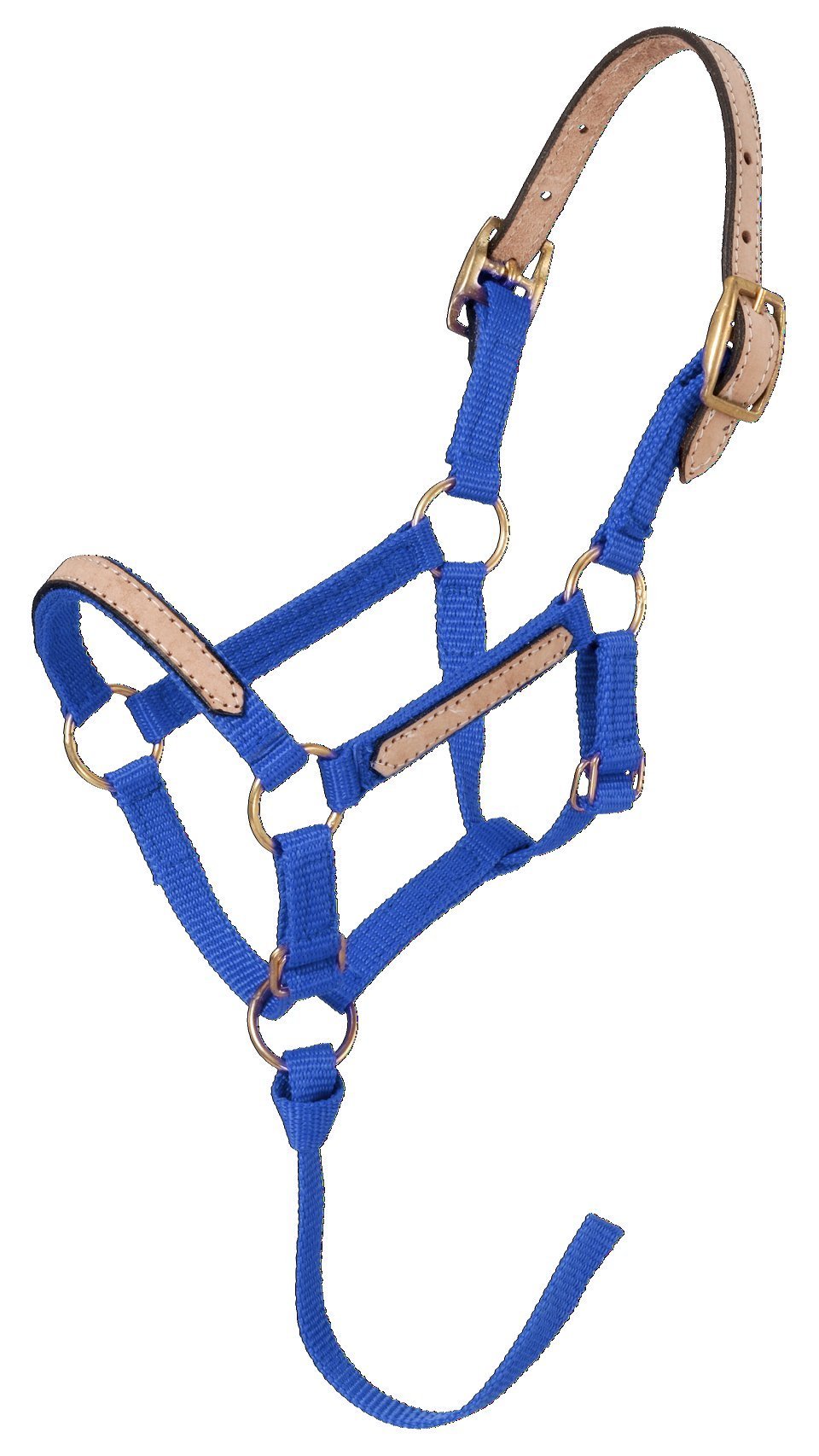 Tough 1 Miniature Nylon Break-Away Halter Large Royal Blue - PawsPlanet Australia