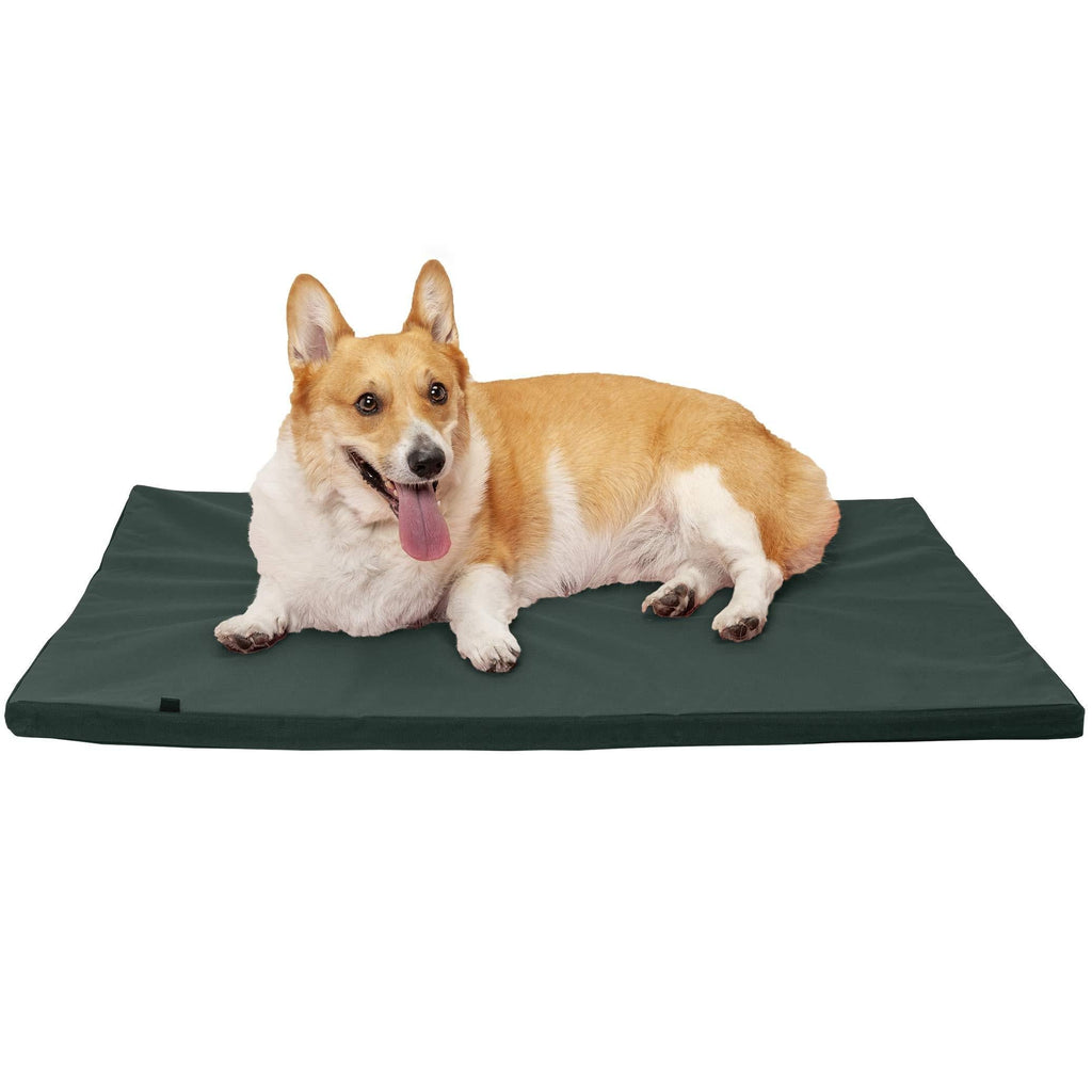 [Australia] - Furhaven Pet Dog Bed Kennel Pad | Orthopedic Water-Repellent Crate or Kennel Low Profile Step-On Foam Mattress Pet Bed w/ Removable Cover for Dogs & Cats - Available in Multiple Colors & Styles Large Green/Gray 