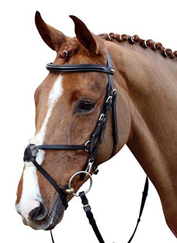 HKM Horse Bridle Mexican Style with Lambskin Padding 1 Count (Pack of 1) Black - PawsPlanet Australia