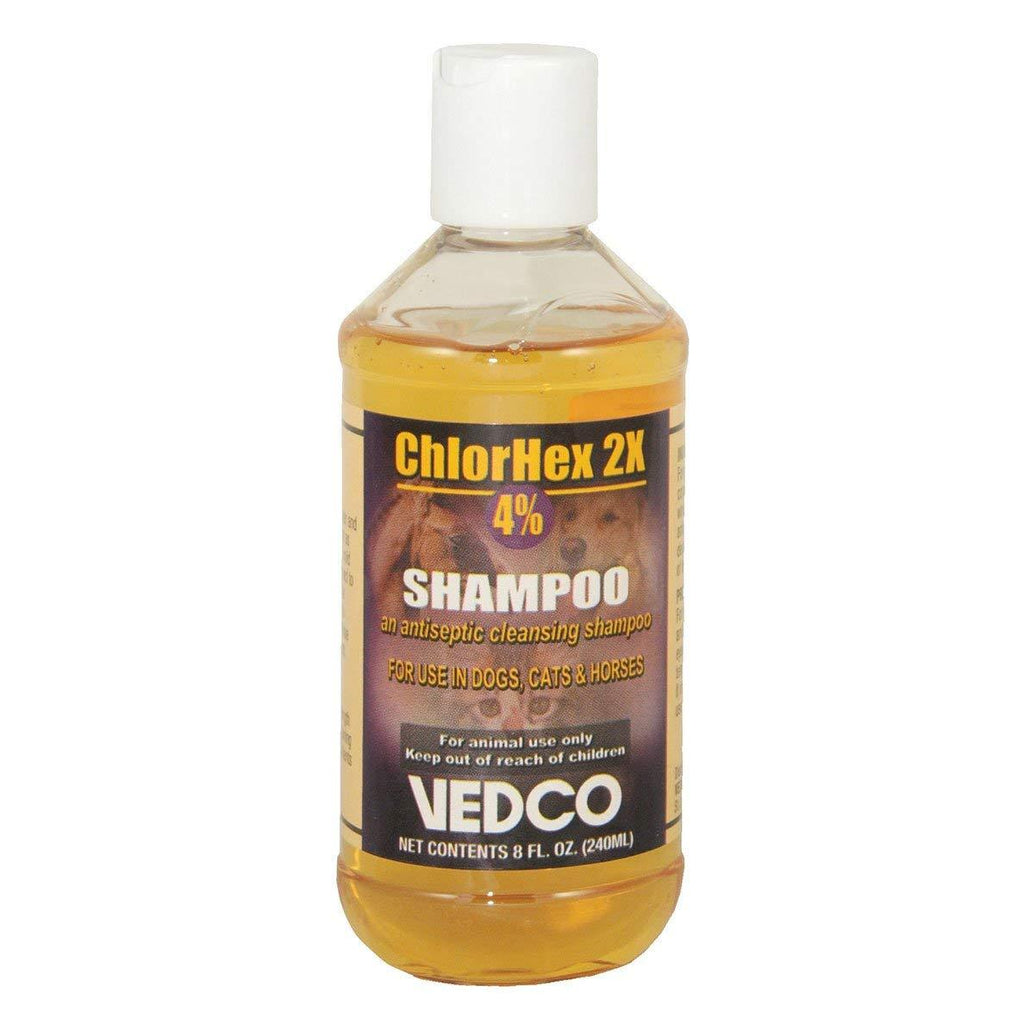 [Australia] - Chlorhex 2x 4% Shampoo, 8 Oz. 