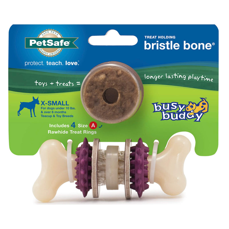 PetSafe Busy Buddy Bristle Bone Chew Toy for Dogs X-Small Purple - PawsPlanet Australia