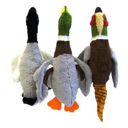 Multi Pet Toy, Migrator, Medium, Assorted Color - PawsPlanet Australia