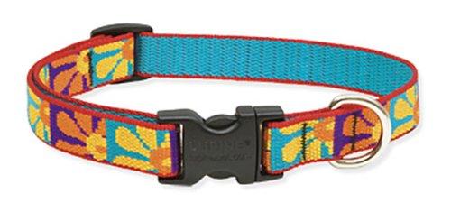 [Australia] - Lupine 3/4-Inch Crazy Daisy Adjustable Dog Collar 3/4"W; 13-22" Neck 