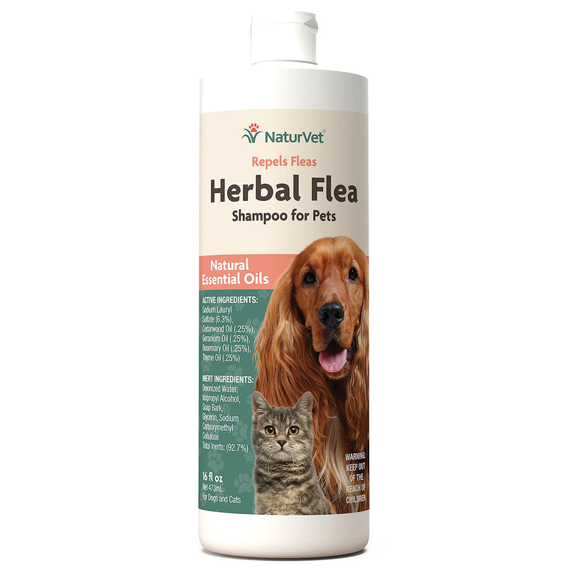Garmon Corporation/Naturvet Herbal Flea & Tick Shampoo 16 Oz - PawsPlanet Australia