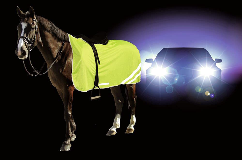 Kerbl Reflective Horse Safety Blanket 135 cm - PawsPlanet Australia