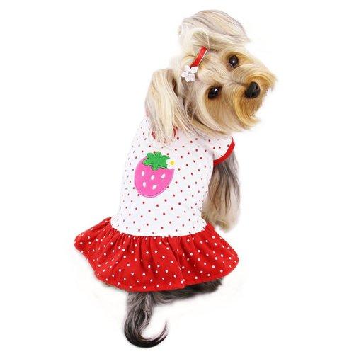 [Australia] - Klippo Pet Adorable and Lightweight Dog Dress with Polka Dots and a Strawberry Patch Sizes: Medium 