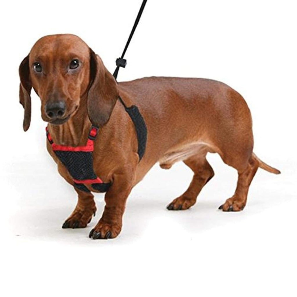 [Australia] - Dog Harness - No pull and No choke humane Design, Non Pulling Pet Harness with Mesh vest, Easy Step-in Adjustable Mesh Harness for control, Patented Dog Pull Control Technology by Sporn Small Red 