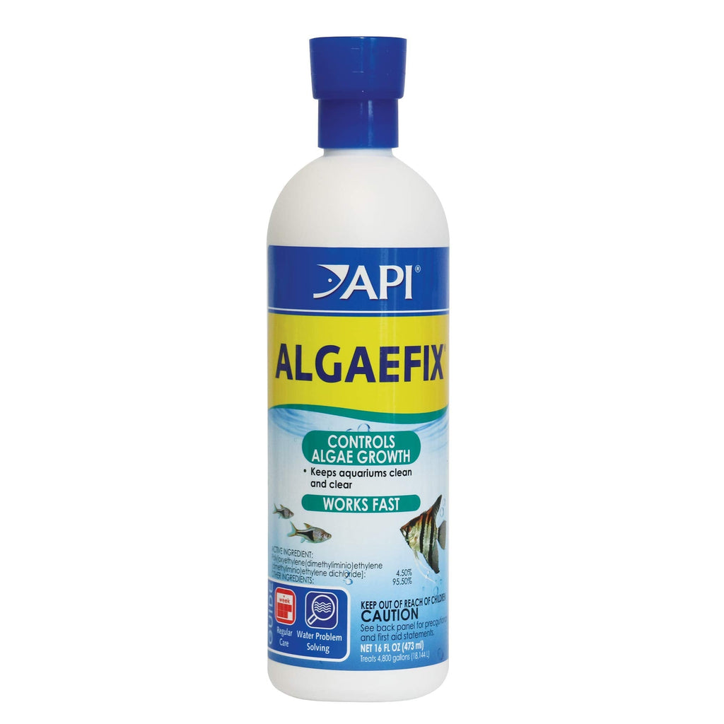 API ALGAEFIX 16-Ounce Freshwater - PawsPlanet Australia