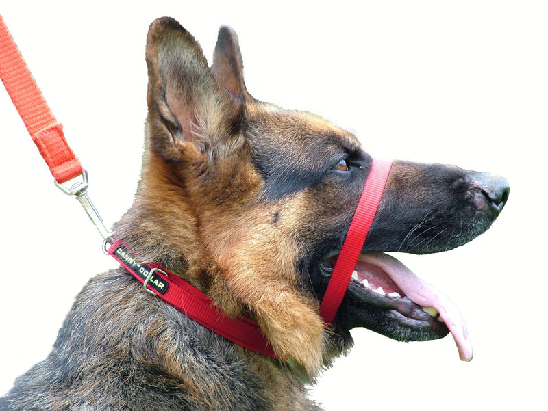 Canny Collar - The Collar for Dog Training and Walking, Helps with Dog Training and Helps to Stop Dogs Pulling on The Leash Size 3 Red - PawsPlanet Australia