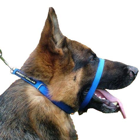 Canny Collar - The Collar for Dog Training and Walking, Helps with Dog Training and Helps to Stop Dogs Pulling on The Leash Size 4 - (15 Inch - 17 Inch neck size) Blue - PawsPlanet Australia