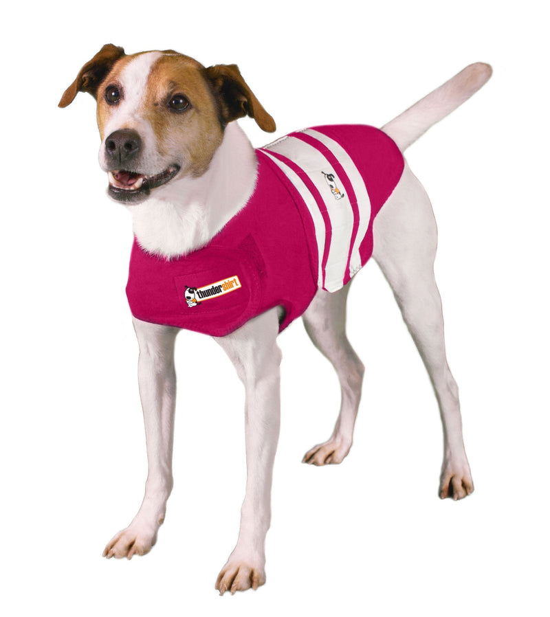 ThunderShirt Rugby Dog Anxiety Jacket Pink Rugby S - PawsPlanet Australia