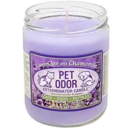 [Australia] - Pet Odor Exterminator Candle, Lavender with Chamomile,13 oz 1 