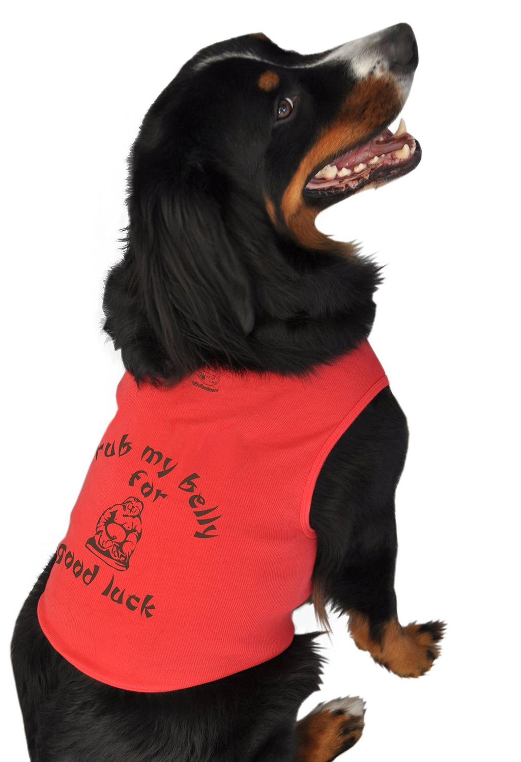 Doggie Tank Top, Rub My Belly for Good Luck xl Red - PawsPlanet Australia