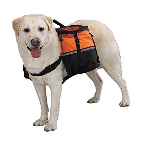 [Australia] - Zack & Zoey Pet Day Tripper with Storage Pouches, Large, Orange l 