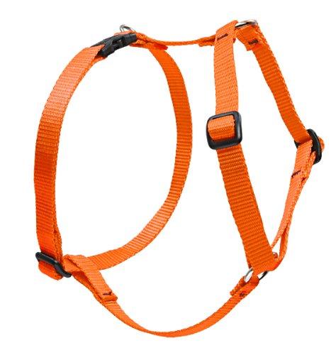 [Australia] - Lupine 1" Blaze Orange Roman Dog Harness 1"W; 24-38" Girth 