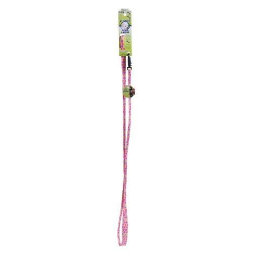 [Australia] - Coastal Pet 6226 06 Multi 5/16 Inch Daisy Lead Ez Snap 