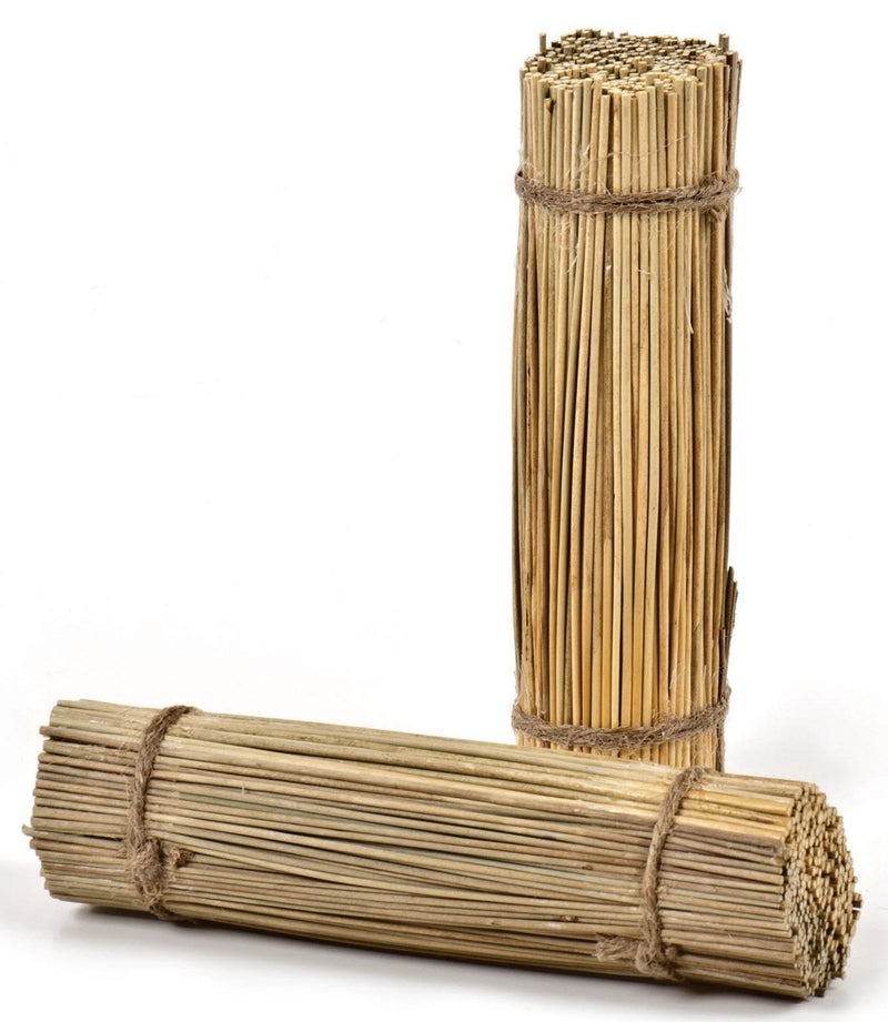 [Australia] - Ware Manufacturing Bristle Bunches for Rabbits and Other Small Pets, 100 Percent Natural Broom Grass 2 pack 