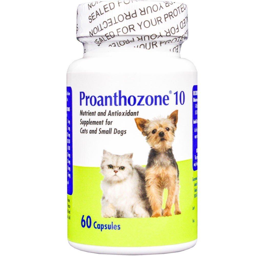 [Australia] - Proanthozone 10mg For Cats & Small Dogs, 60 Capsules 