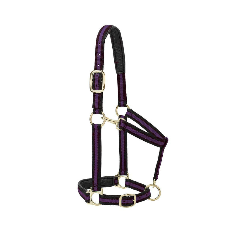 Weaver Leather Padded Adjustable Nylon Horse Halter 1" Average Horse Purple/Black - PawsPlanet Australia