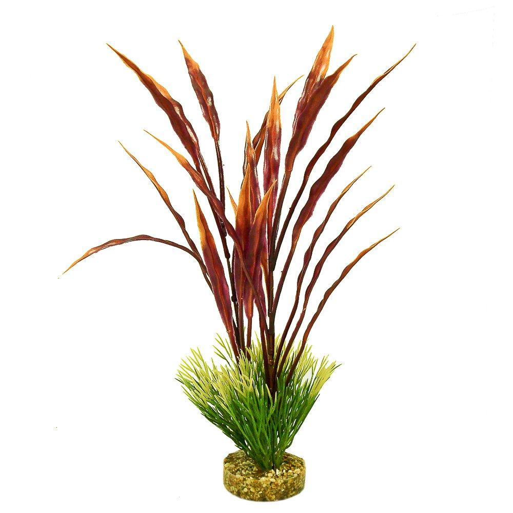 [Australia] - Blue Ribbon Color Burst Plants for Aquarium Red/Green Atoll Grass Plant 