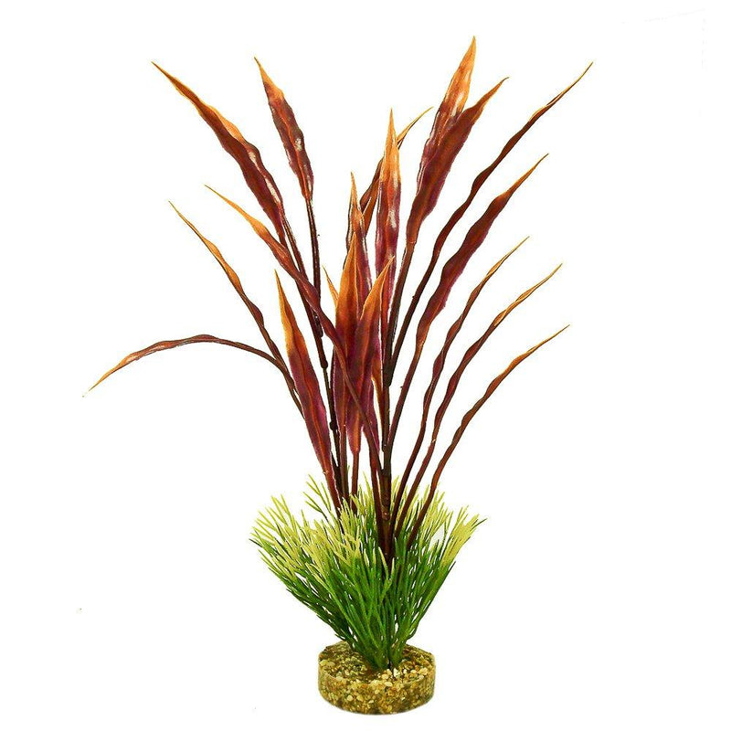 [Australia] - Blue Ribbon Color Burst Plants for Aquarium Red/Green Atoll Grass Plant 