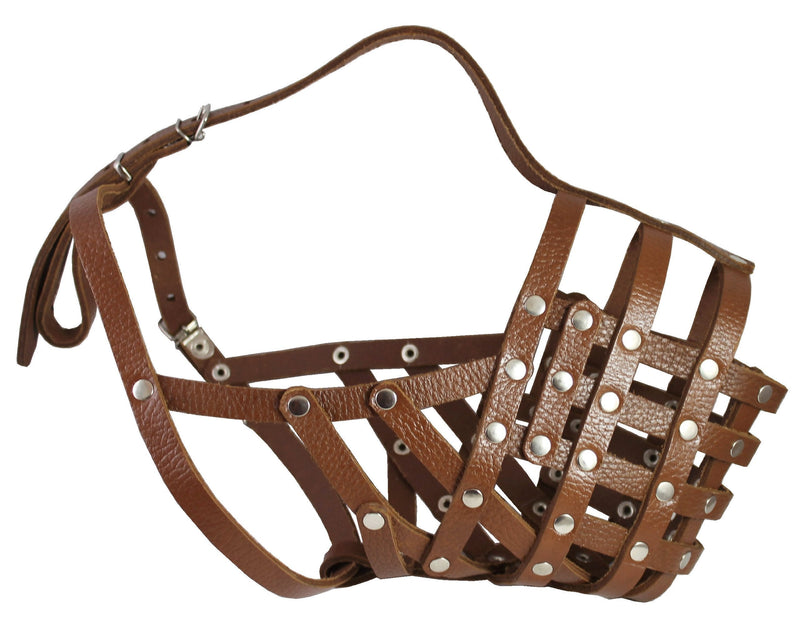 [Australia] - Secure Leather Mesh Basket Dog Muzzle #16 Brown - Great Dane, Saint Bernard, Mastiff (Circumference 15.5", Snout Length 4.5") 