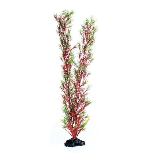 [Australia] - Underwater Treasures Red/Green Springeri - 20" 