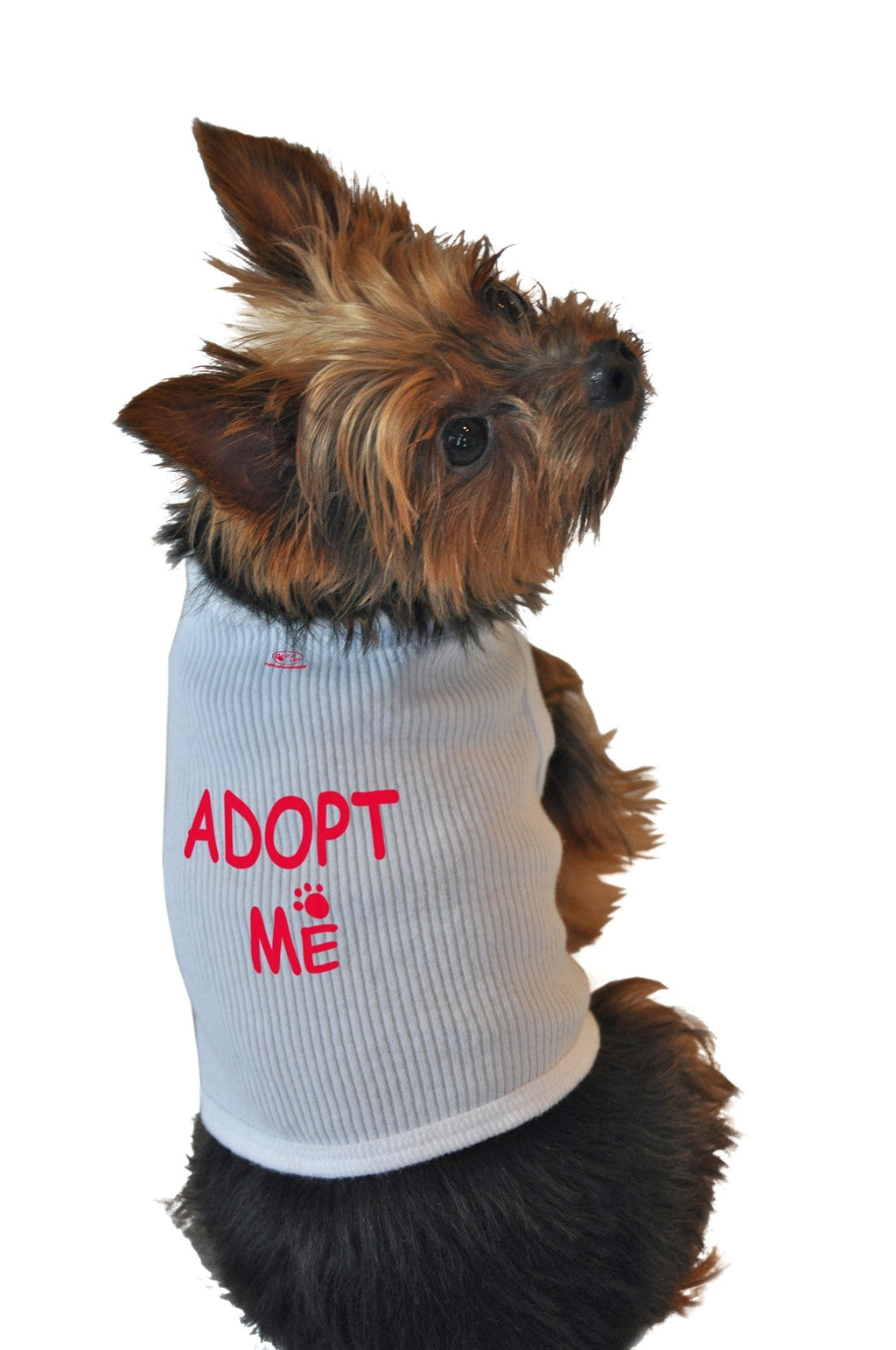 [Australia] - Ruff Ruff and Meow Doggie Bandana, Adopt Me, White, Medium 