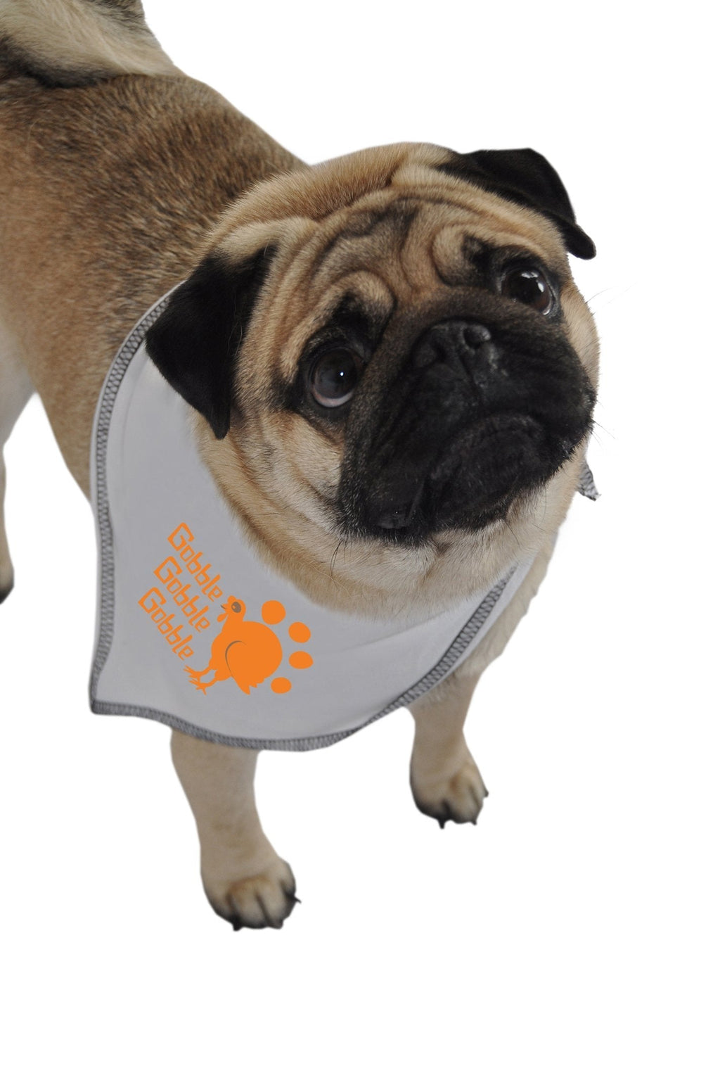 [Australia] - Ruff Ruff and Meow Doggie Bandana, Gobble, White, Medium 