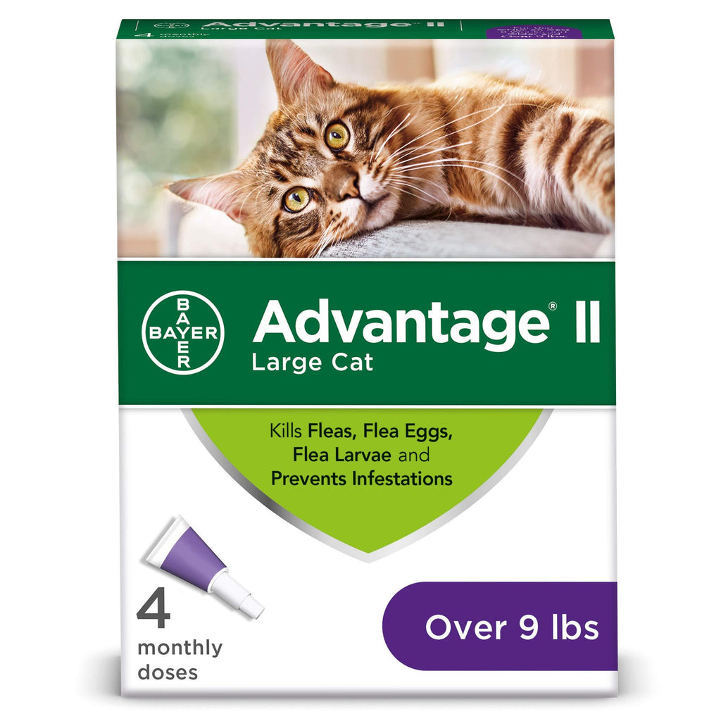 [Australia] - Advantage II 4-Dose Large Cat Flea Prevention, Flea Prevention for Large Cats, 9 Pounds and Over 