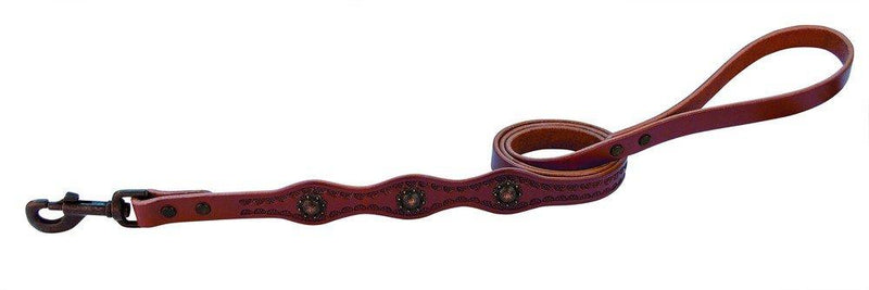 [Australia] - Weaver Leather Sundance Dog Leash, 3/4 x 4-Feet, Brown 