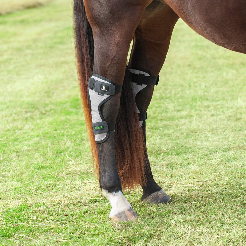 Classic Equine Magntx Hock Wrap - PawsPlanet Australia