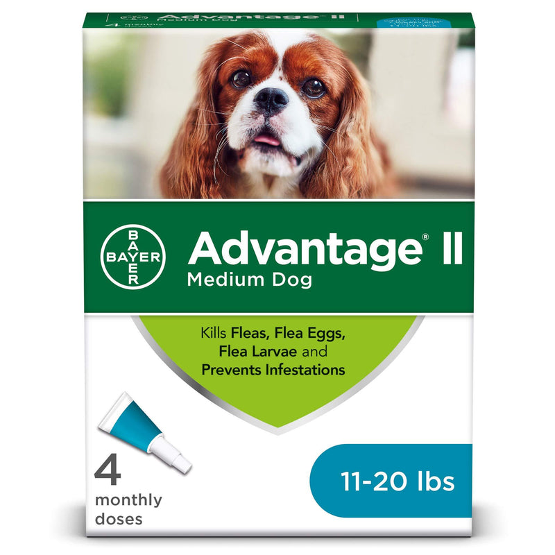Advantage II 4-Dose Medium Dog Flea Prevention, Topical Flea Treatment for Dogs 11-20 Pounds - PawsPlanet Australia