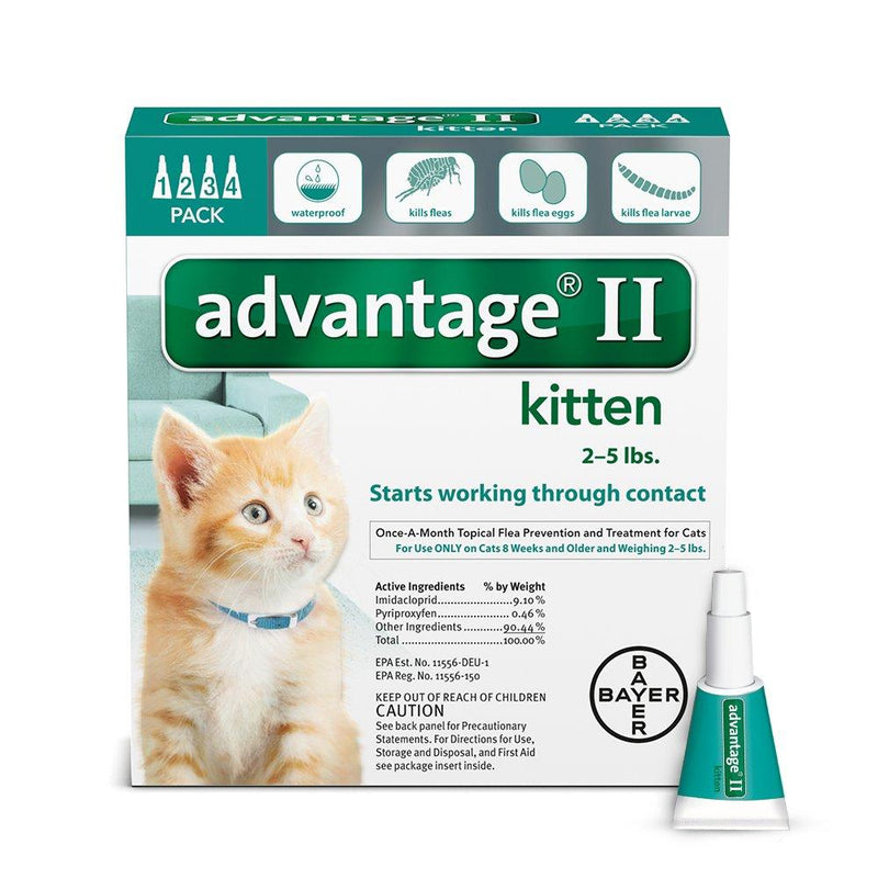 Bayer Advantage II Kitten Flea Treatment for Kittens, 2 - 5 lb, 4 doses - PawsPlanet Australia