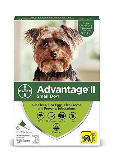 Advantage II 6-Dose Topical Flea Treatment for Small Dogs, Topical Flea Treatment for Small Dogs 3-10 Pounds - PawsPlanet Australia