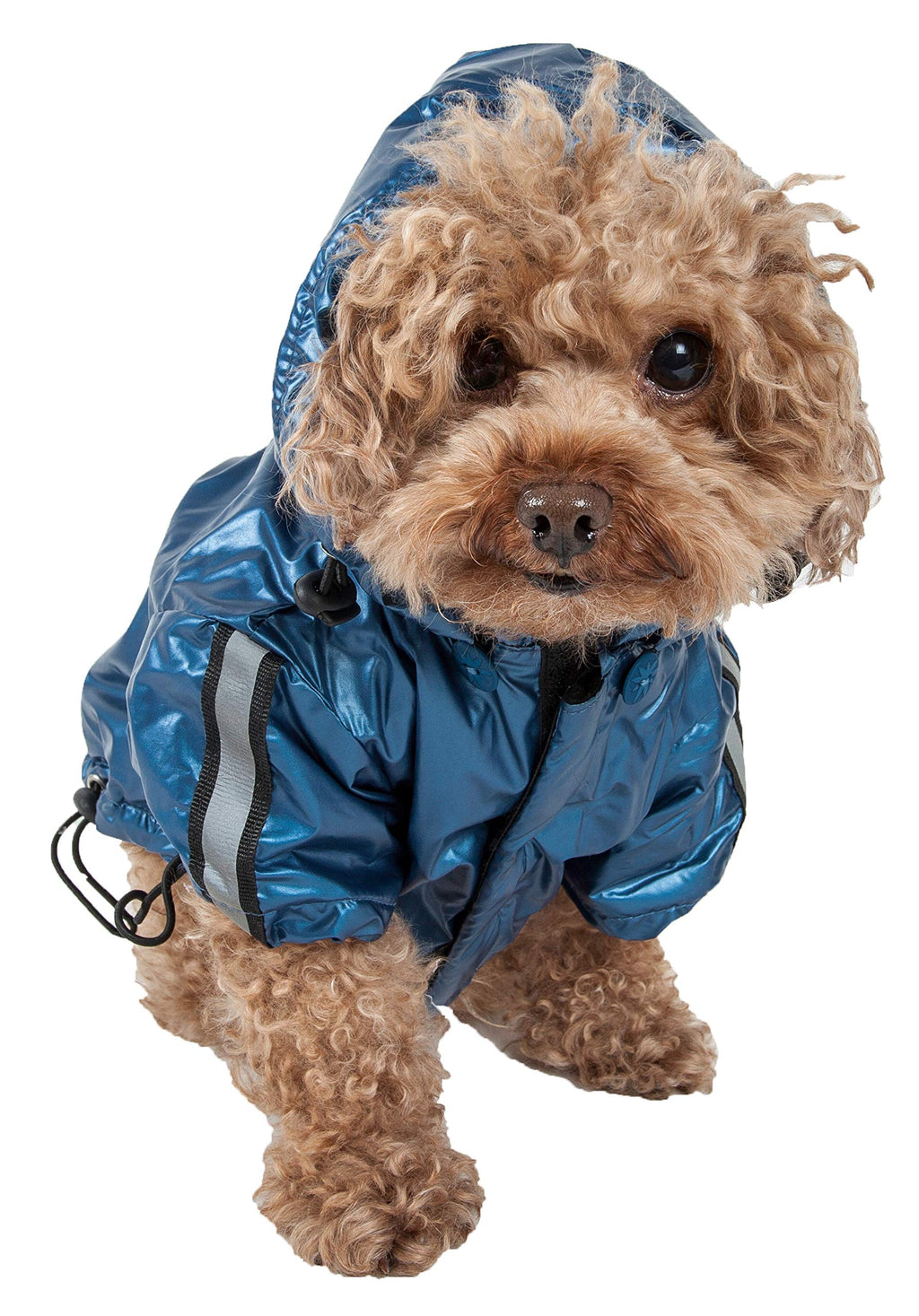 [Australia] - Reflecta-Sport Adjustable Weather-Proof Pet Windbreaker Jacket Dark Blue s 