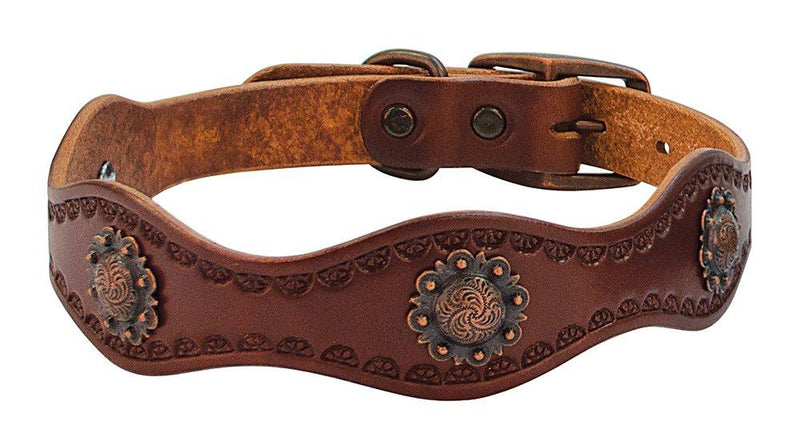 [Australia] - Weaver Leather Sundance Dog Collar 1" x 19" 