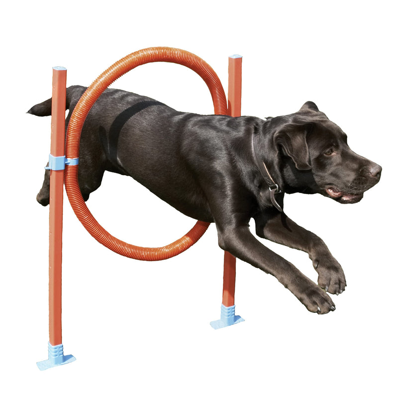 Rosewood Dog Agility Jump includes Bag - PawsPlanet Australia