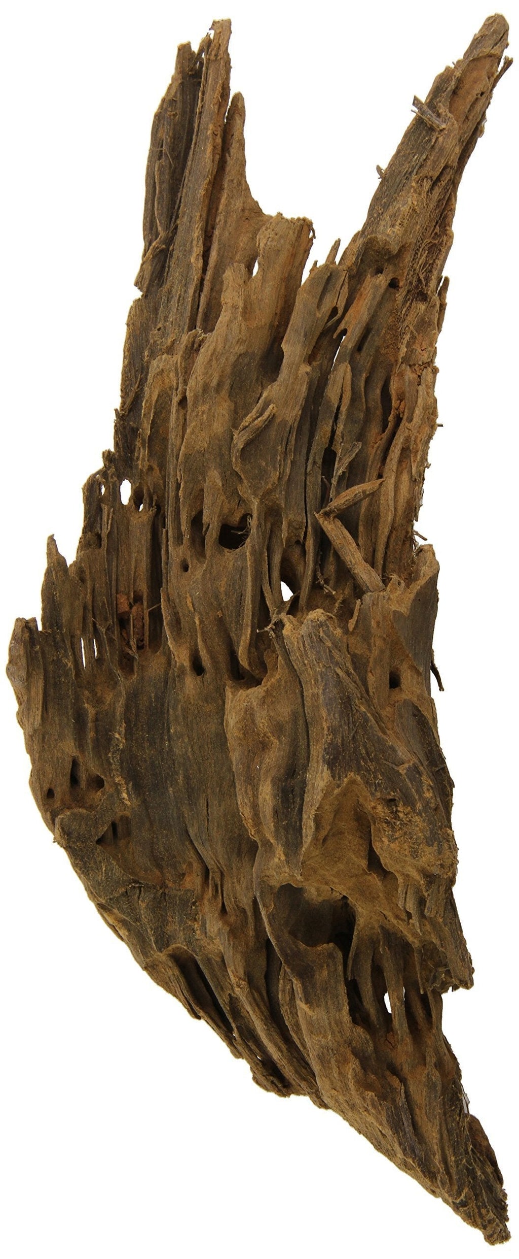 [Australia] - Estes Gravel Malaysian Driftwood - Medium 